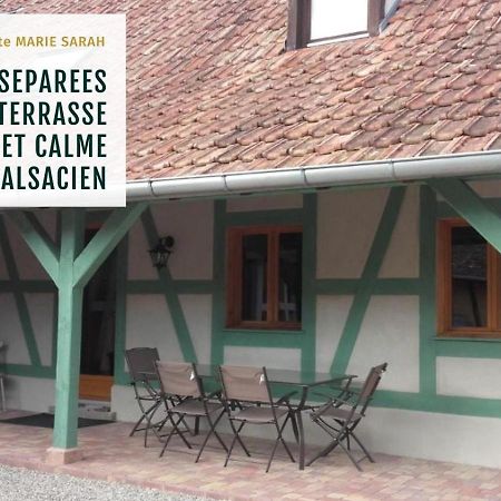 Gite Chez Marie-Sarah Petite Maison Calme Parking Ebersheim Bagian luar foto