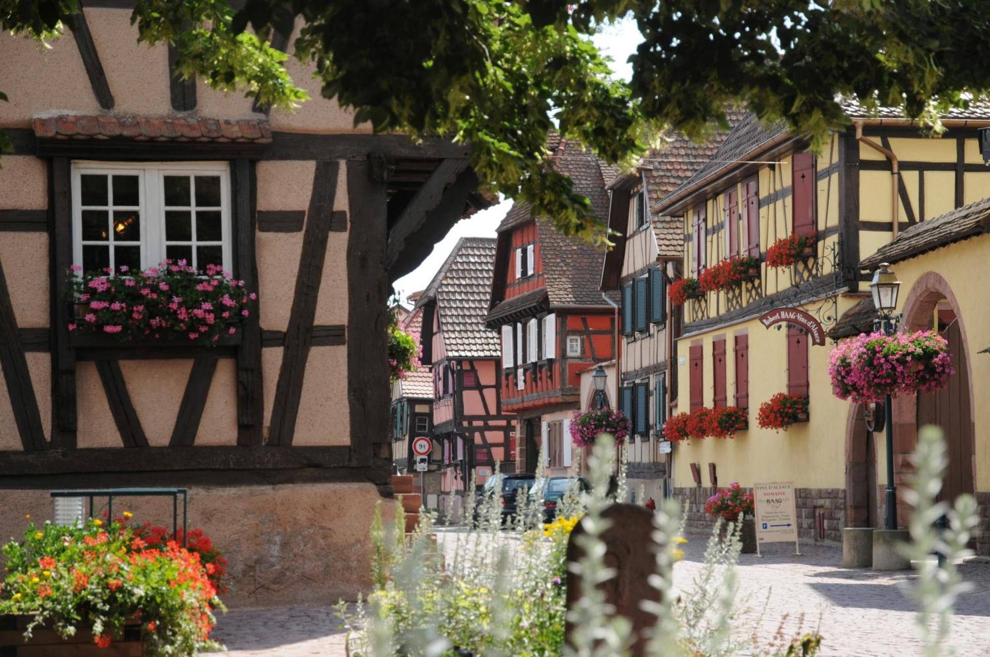 Gite Chez Marie-Sarah Petite Maison Calme Parking Ebersheim Bagian luar foto
